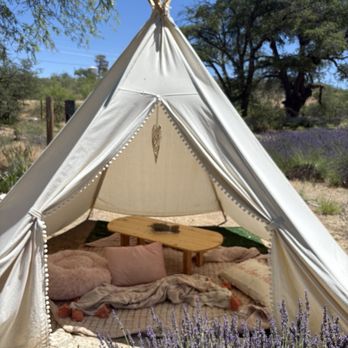 Life Under The Oaks Lavender Farm - Farms Near Me - Oracle, Arizona Life Under The Oaks Lavender Farm - Farms Near Me - Oracle, Arizona