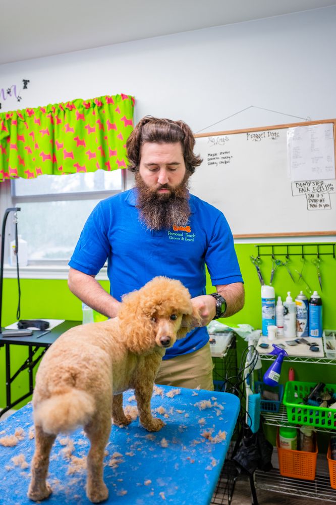 PERSONAL TOUCH GROOMING & BOARDING 32 Photos & 10 Reviews Pet