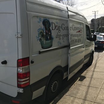 Dog Gone Walking - It is nice she will drive her van right to your home. - Dog Walkers Near Me - Redwood City, California Dog Gone Walking - It is nice she will drive her van right to your home. - Dog Walkers Near Me - Redwood City, California