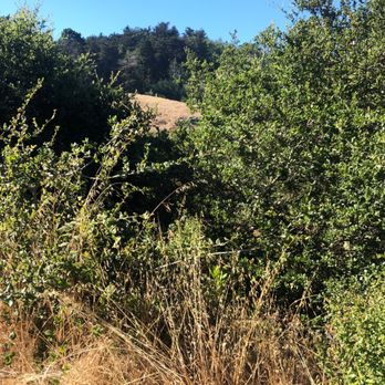 Joaquin Miller Park - Parks Near Me - Oakland, California