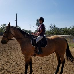 My daughter taking English lessons at Heaven's Ranch. My daughter taking English lessons at Heaven's Ranch.
