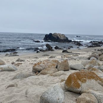 Adventures By The Sea - Tours Near Me - Monterey, California Adventures By The Sea - Tours Near Me - Monterey, California