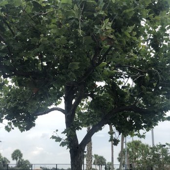 Windmill Park - Dog Parks Near Me - Coconut Creek, Florida