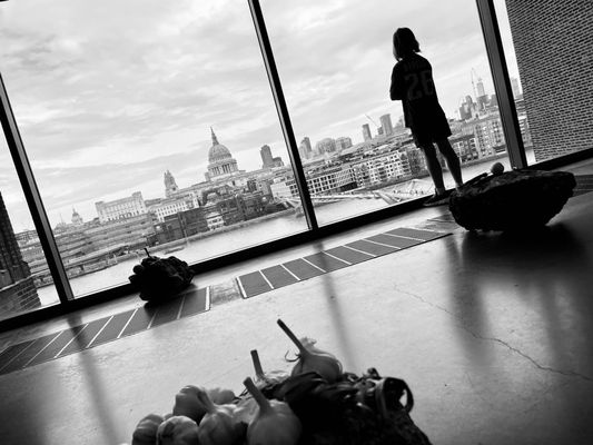 Tate Modern Viewing Level by null