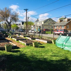 Pulaski Park - Community Garden