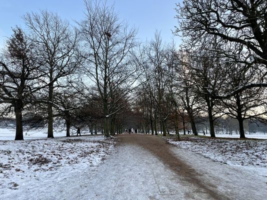 Greenwich Park by null