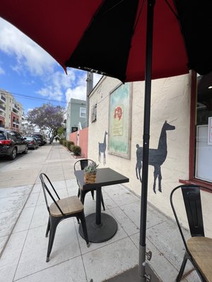 The Deli Llama by null