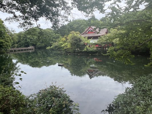 Inokashira Park by null