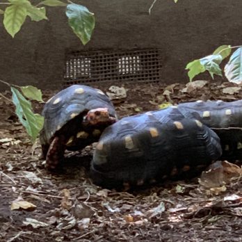 Naples Zoo - Zoos Near Me - Naples, Florida
