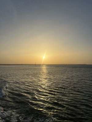 The Original Dolphin Watch by null