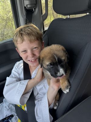 Aliana Pediatric Dentistry