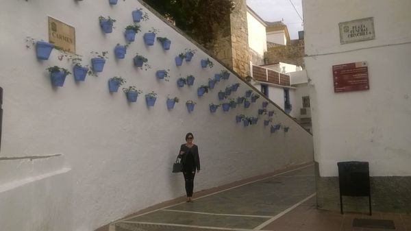 El Fuerte Marbella by null