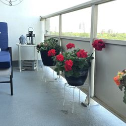 Eden Flower Shop - My Balcony