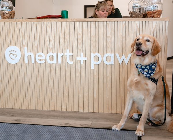 Heart + Paw Image