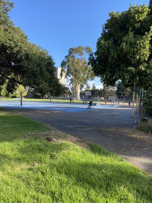 Mosswood Park by null