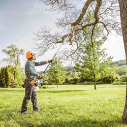 2 Fat Guys Lawn Service - Tree trimming