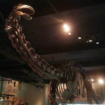 Field Museum - Museums Near Me - Chicago, Illinois Field Museum - Museums Near Me - Chicago, Illinois
