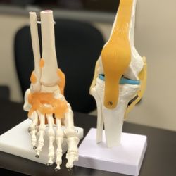 Professional Physical Therapy