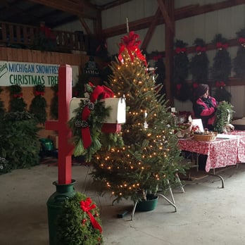 Tannenbaum Farms - Christmas Trees Near Me - Mason, Michigan