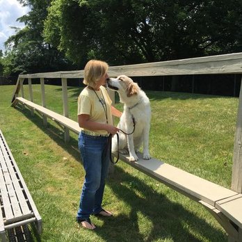 The Calm Companion - Pet Training Near Me - Athens, Ohio The Calm Companion - Pet Training Near Me - Athens, Ohio