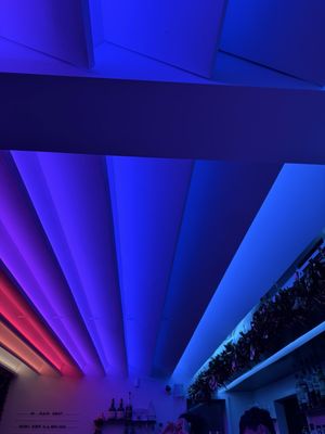 In Plain Sight by null