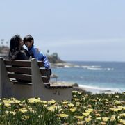windansea-beach_temp_img_1-