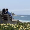 Windansea Beach gift card