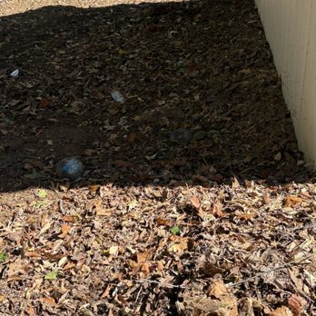 Superblooming Landscaping - Landscaping Near Me - Atlanta, Georgia