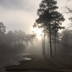 Pine Cove