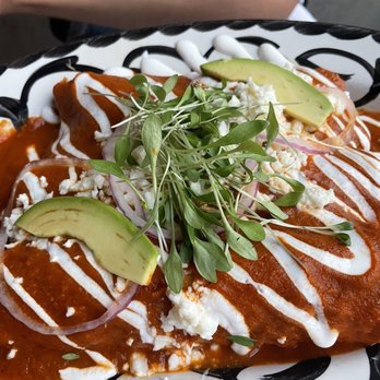 La Josie - Chicken enchiladas - Mexican Near Me - Chicago, Illinois