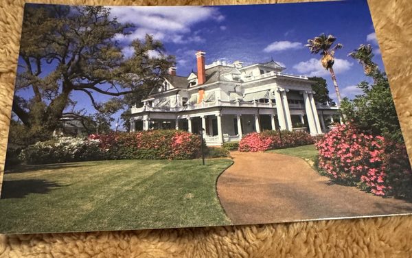 The McFaddin-Ward House Historic Museum by null