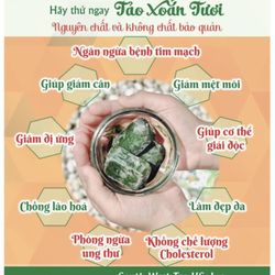 South West Tao - Tao Xoan Tuoi