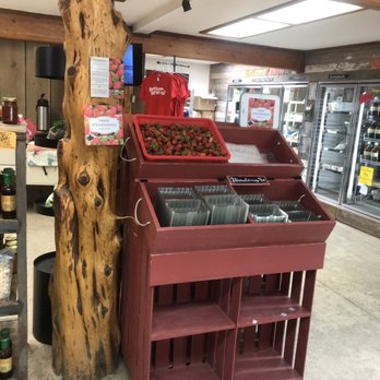Mortimer Farms - Where you pickup your strawberry cartons or bags - Attraction Farms Near Me - Dewey, Arizona Mortimer Farms - Where you pickup your strawberry cartons or bags - Attraction Farms Near Me - Dewey, Arizona