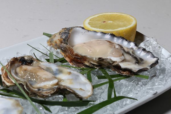 Skewd Cockfosters by null