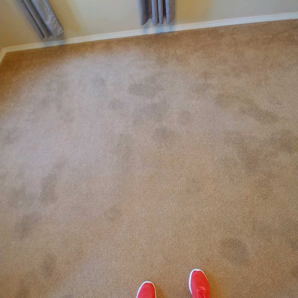 Lots of urine spots from previous renters dogs/cat. Lots of urine spots from previous renters dogs/cat.
