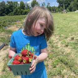 Porter Farms & Nursery