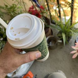 Chevron - Chevron