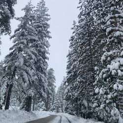 Under the Pines Heating & Air