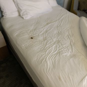 Courtyard by Marriott Charlotte Northlake - Hotels Near Me - Charlotte, North Carolina