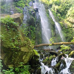 Lee Falls Trailhead