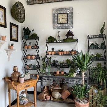 Portilla Home & Garden - Plants - Home Decor Near Me - Rosenberg, Texas