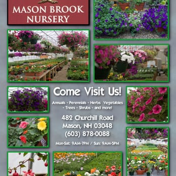 Mason Brook Nursery Nurseries Gardening 482 Churchill Rd Mason Brook Nursery Nurseries