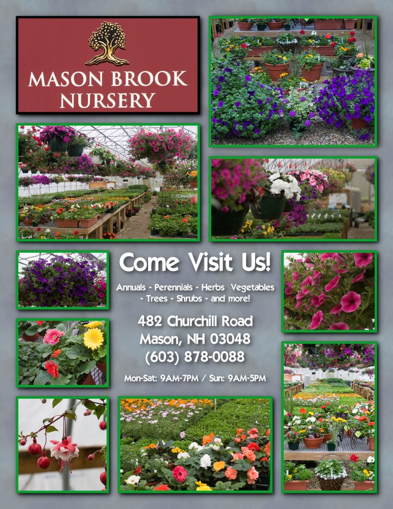 MASON BROOK NURSERY Updated September 2024 482 Churchill Rd, Mason