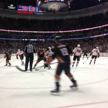 Honda Center - Seats against the glass - Stadiums & Arenas Near Me - Anaheim, California Honda Center - Seats against the glass - Stadiums & Arenas Near Me - Anaheim, California