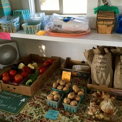 Lynn's Garden Shed - Lots of great deals.