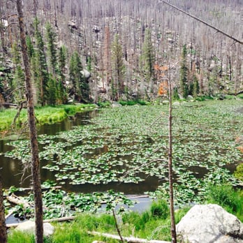 Cub Lake Trail - Cub Lake - Hiking Near Me - Estes Park, Colorado Cub Lake Trail - Cub Lake - Hiking Near Me - Estes Park, Colorado