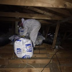 A Team Wildlife Removal and Trapping - We install attic insulation.