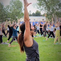 Vibe Yoga + Wellness - Rescue Puppy Yoga series every third Saturday May-September