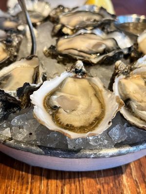 Taylor Shellfish Oyster Bar by null