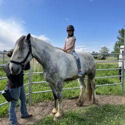 SS Ranch 77 - Bareback ride